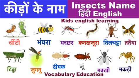 incests meaning in Hindi .